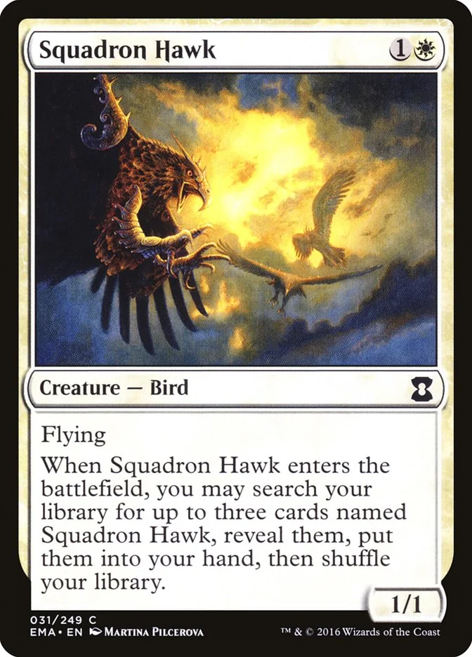 Squadron Hawk 「EMA/31」「EN」