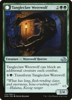 Tangleclaw Werewolf // Fibrous Entangler 「EMN/174」「EN」