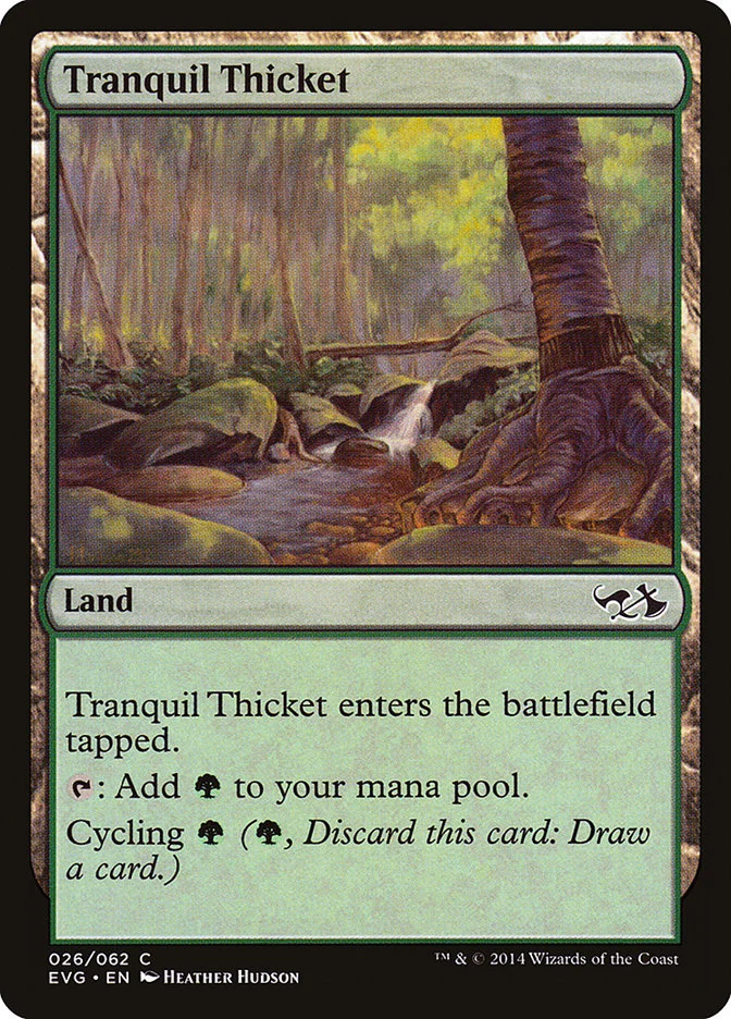 Tranquil Thicket 「EVG/26」「EN」