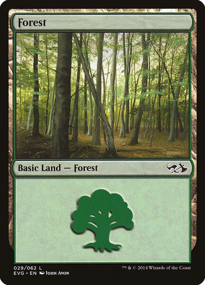 Forest 「EVG/29」「EN」