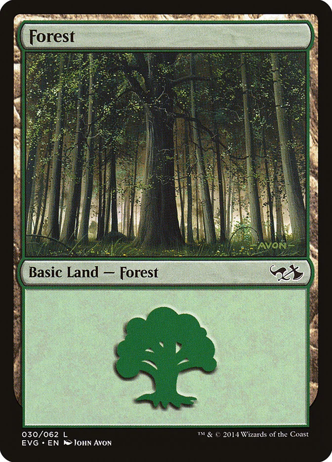 Forest 「EVG/30」「EN」
