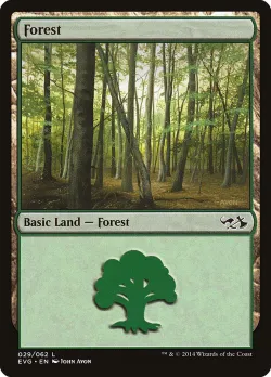 Forest 「EVG/29」「EN」