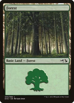Forest 「EVG/30」「EN」
