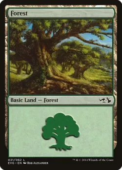 Forest 「EVG/31」「EN」