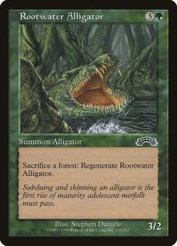 Rootwater Alligator 「EXO/122」「EN」