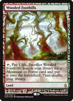 Wooded Foothills 「EXP/19」「EN」