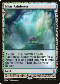 Misty Rainforest 「EXP/25」「EN」