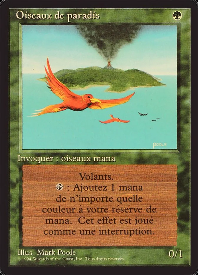 Birds of Paradise 「FBB/187」「EN」