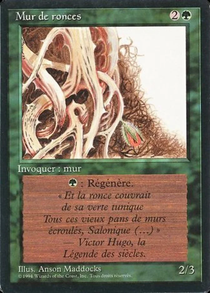 Wall of Brambles 「FBB/224」「EN」