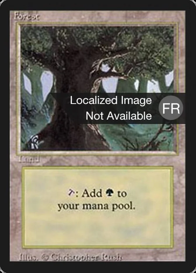 Forest 「FBB/304」「EN」
