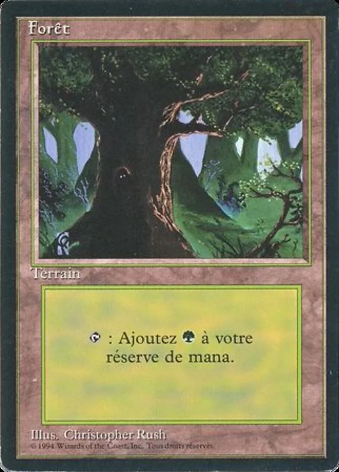 Forest 「FBB/306」「EN」