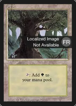 Forest 「FBB/304」「EN」