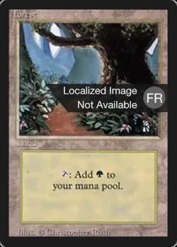 Forest 「FBB/305」「EN」