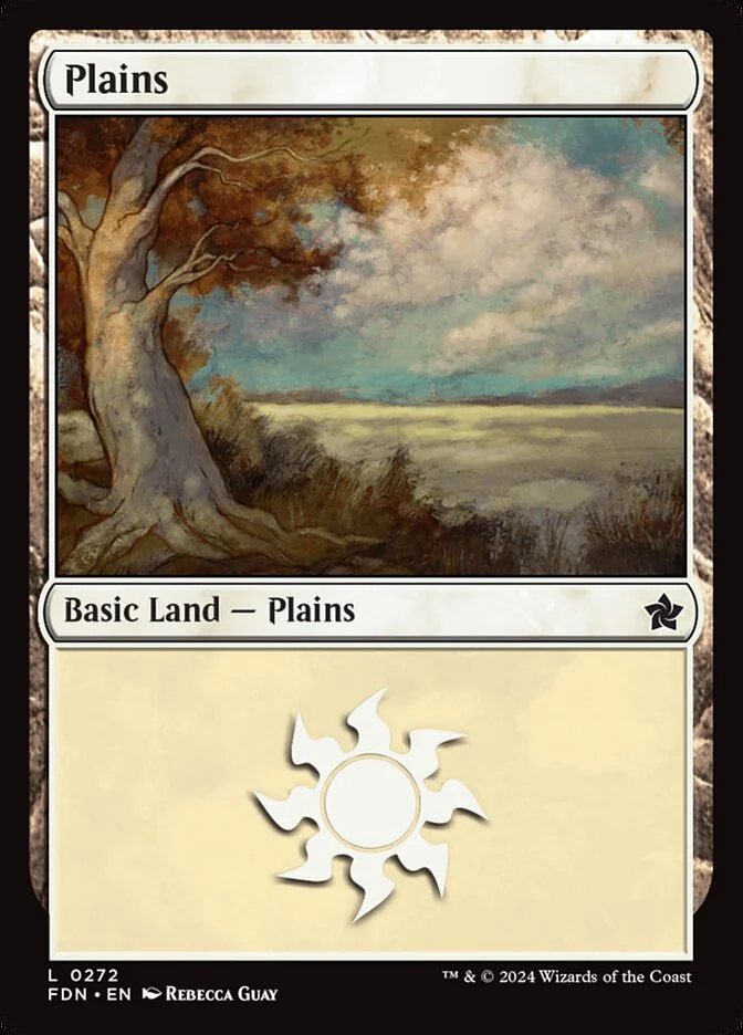 Plains 「FDN/272」「EN」