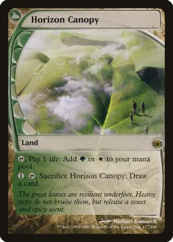 Horizon Canopy 「FUT/177」「EN」