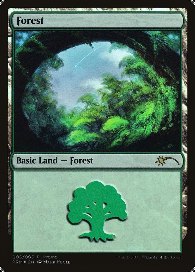 Forest 「G17/5」「EN」