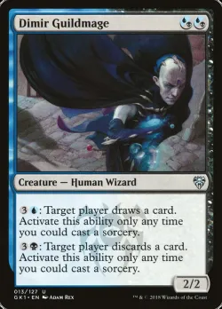 Dimir Guildmage #13 · Magic: The Gathering
