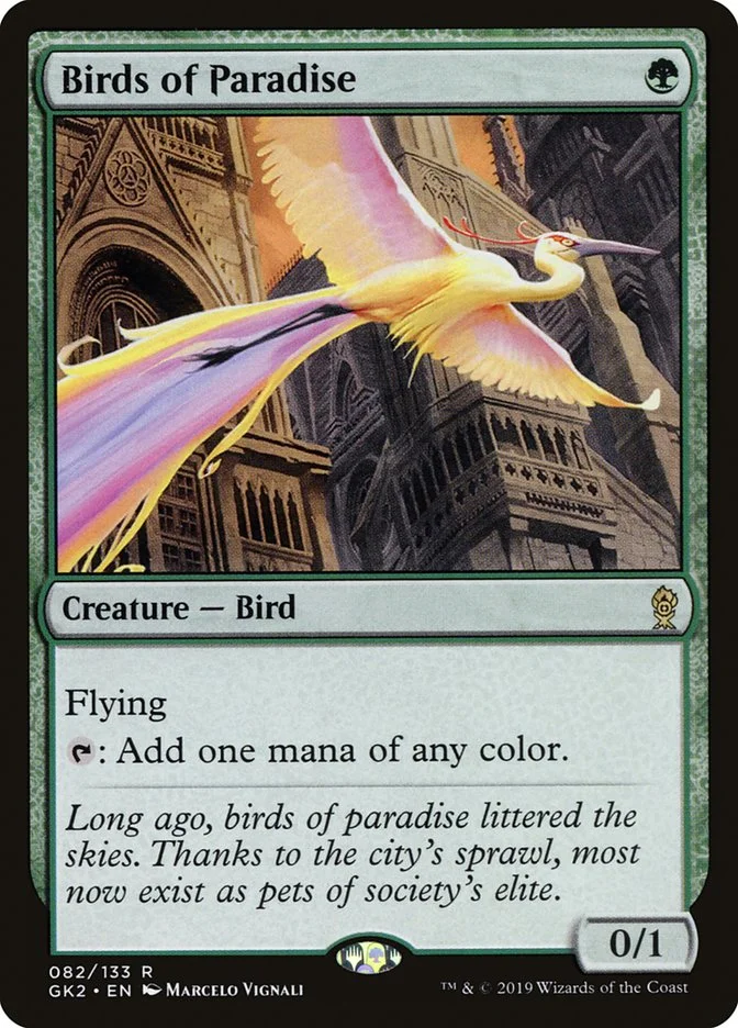 Birds of Paradise 「GK2/82」「EN」