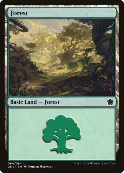 Forest 「GN2/64」「EN」