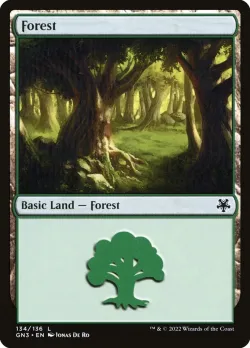 Forest 「GN3/134」「EN」