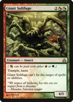 Giant Solifuge 「GPT/143」「EN」