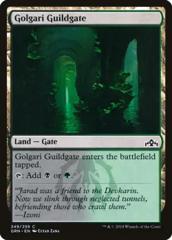 Golgari Guildgate 「GRN/249」「EN」