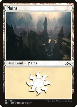 Plains 「GRN/260」「EN」