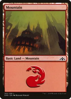 Mountain 「GRN/263」「EN」