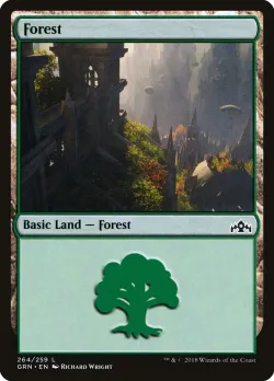 Forest 「GRN/264」「EN」