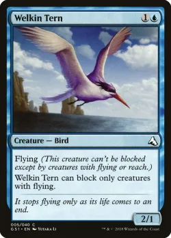 Welkin Tern 「GS1/5」「EN」