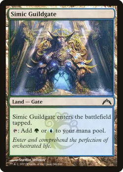 Simic Guildgate 「GTC/246」「EN」