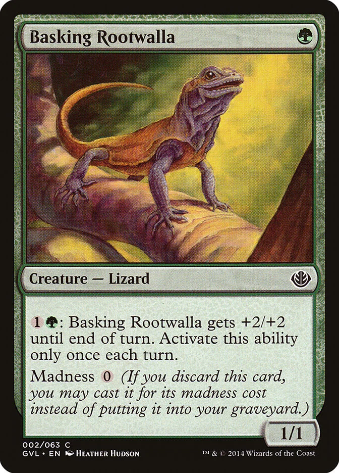 Basking Rootwalla 「GVL/2」「EN」