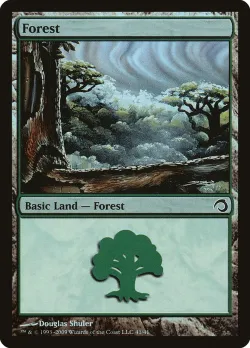 Forest 「H09/41」「EN」