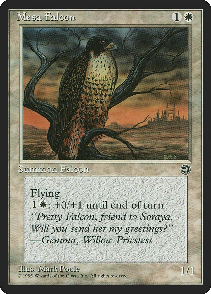 Mesa Falcon 「HML/10b」「EN」