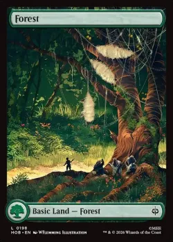 Forest 「HOB/198」「EN」
