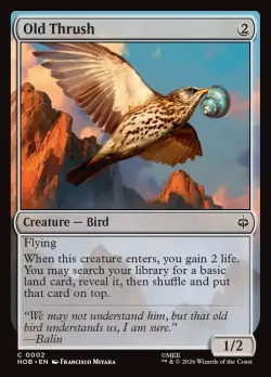Old Thrush #2 · Magic: The Gathering