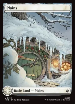 Plains 「HOB/316」「EN」