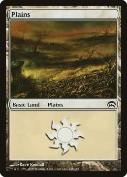 Plains 「HOP/145」「EN」