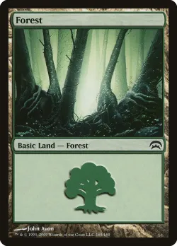 Forest 「HOP/165」「EN」