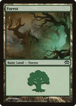 Forest 「HOP/167」「EN」