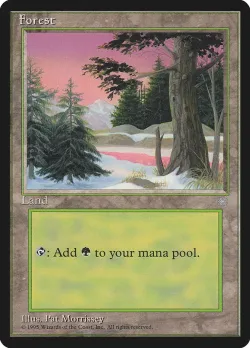 Forest 「ICE/381」「EN」