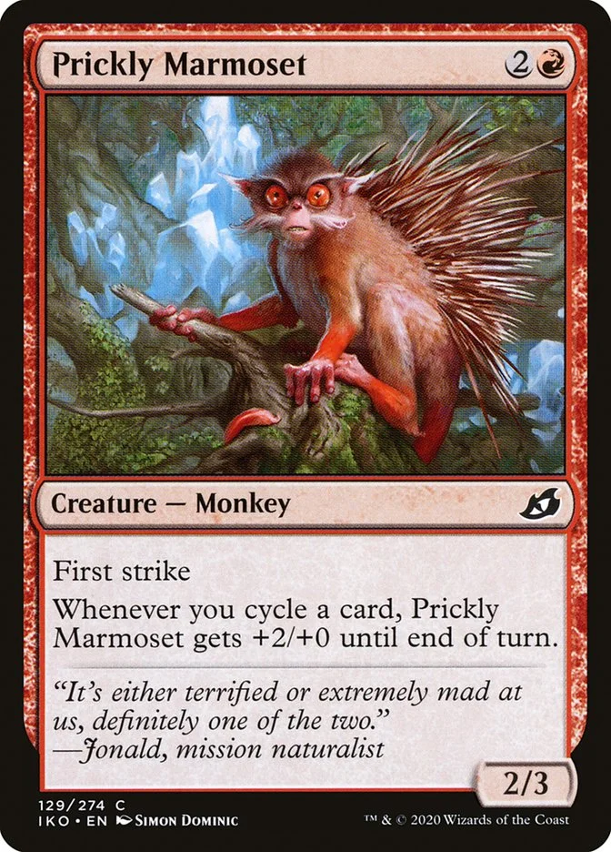 Prickly Marmoset 「IKO/129」「EN」