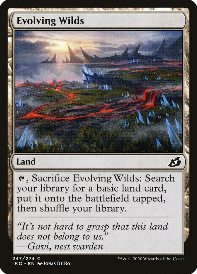 Evolving Wilds 「IKO/247」「EN」