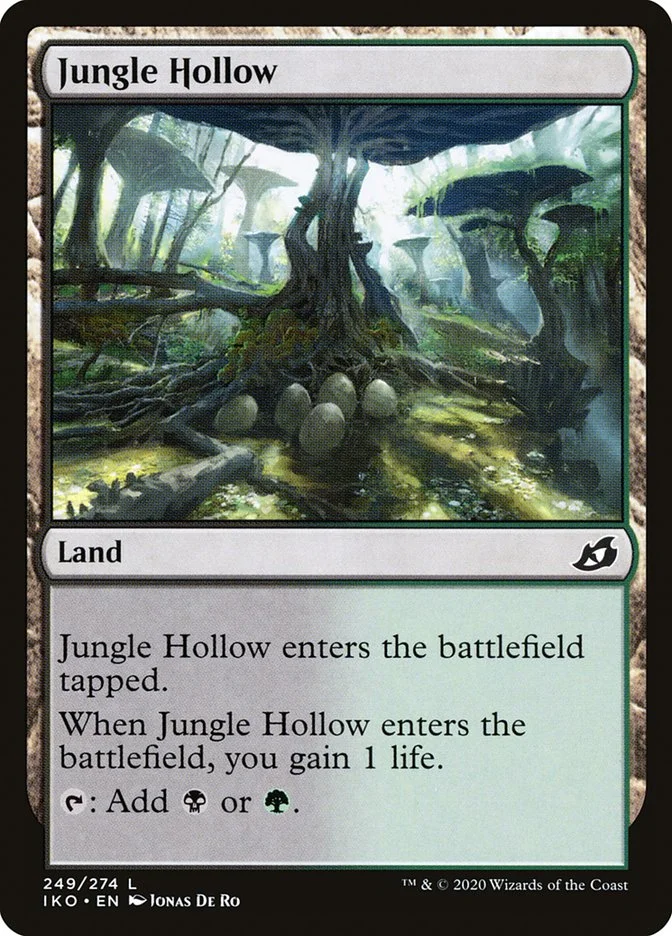 Jungle Hollow 「IKO/249」「EN」