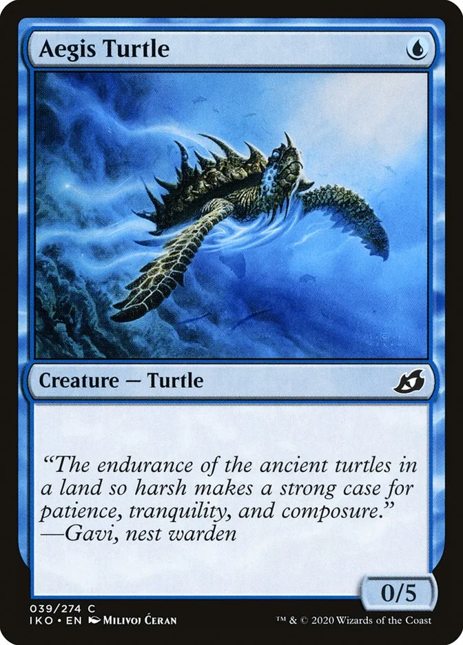Aegis Turtle 「IKO/39」「EN」
