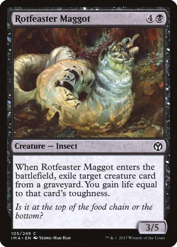 Rotfeaster Maggot 「IMA/105」「EN」