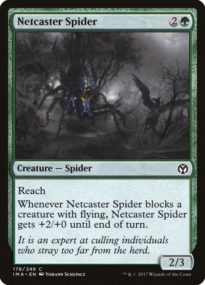 Netcaster Spider 「IMA/178」「EN」
