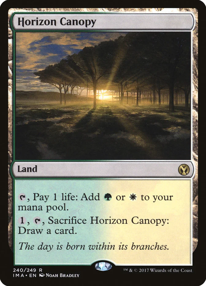 Horizon Canopy 「IMA/240」「EN」
