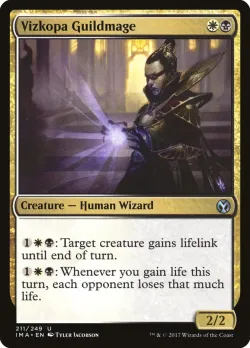 Vizkopa Guildmage 「IMA/211」「EN」