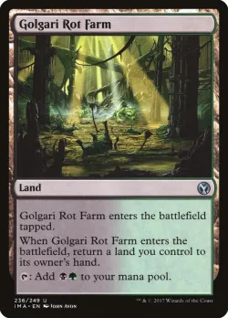 Golgari Rot Farm 「IMA/236」「EN」